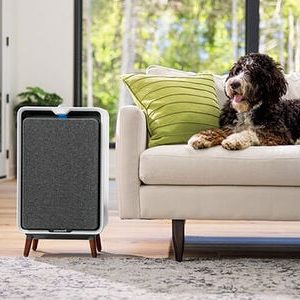 Air Purifier
